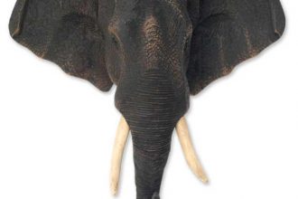 Animal Themed Thai Statue, 'Pride of the Elephant'